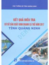 Kết quả điều tra cơ sở sản xuất kinh doanh cá thể năm 2017 tỉnh Quảng Ninh