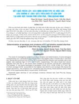 Kết quả phân lập, xác định serotype và độc lực các chủng E.Coli gây tiêu chảy ở lợn con tại khu vực thành phố Cẩm Phả, tỉnh Quảng Ninh / Phạm Hà Giang, Nguyễn Quang Tuyên, Trần Đức Hạnh,...